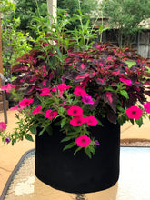 Load image into Gallery viewer, Heavy Duty Fabric Grow Bags (5 Pack)