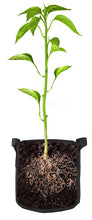 Load image into Gallery viewer, Heavy Duty Fabric Grow Bags (5 Pack)