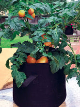 Load image into Gallery viewer, Heavy Duty Fabric Grow Bags (5 Pack)