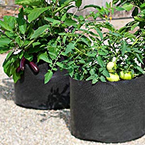 Heavy Duty Fabric Grow Bags (5 Pack)