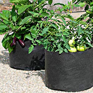 Heavy Duty Fabric Grow Bags (5 Pack) – Ruckus Creations